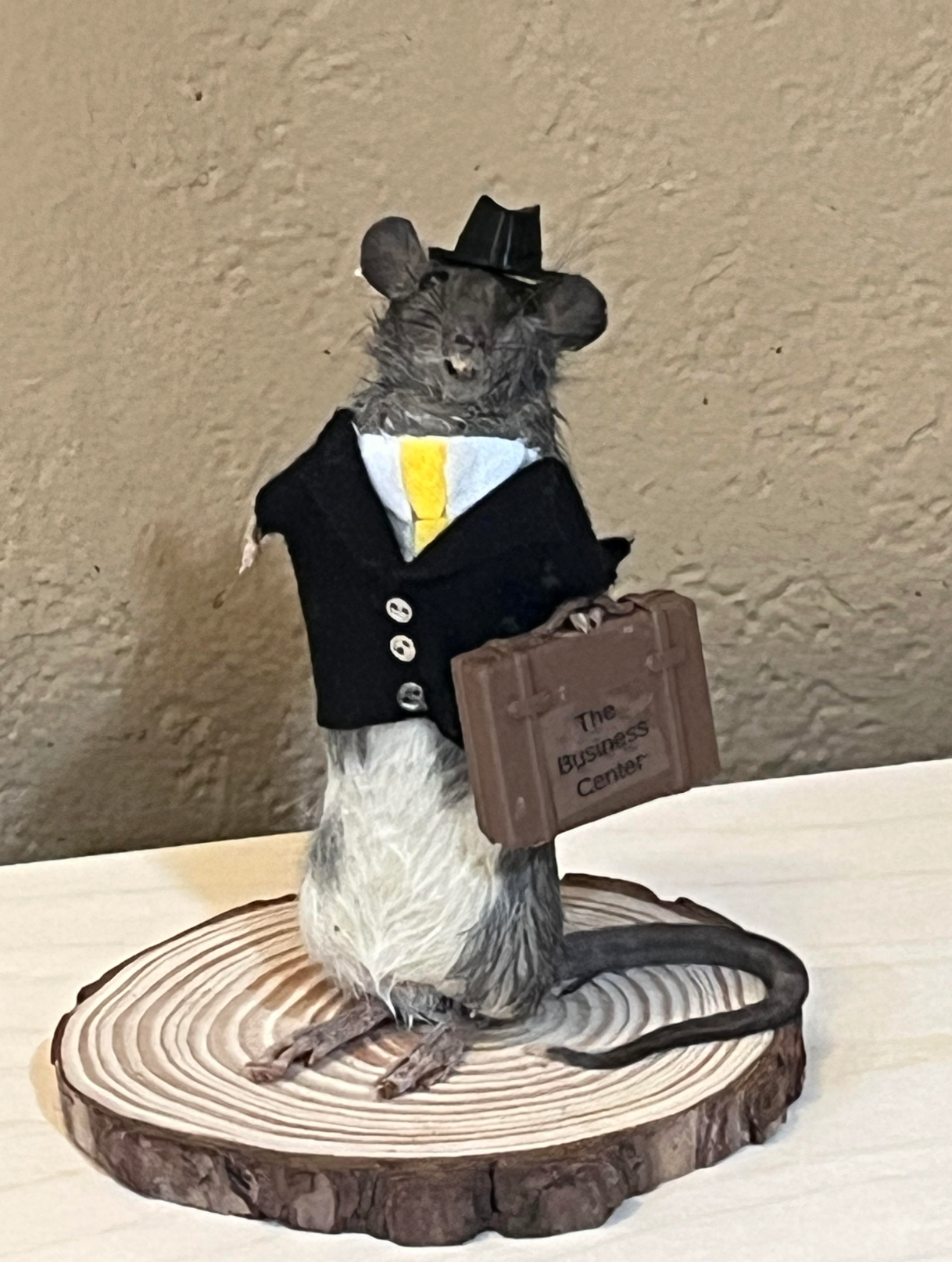 Taxidermy Business Rat