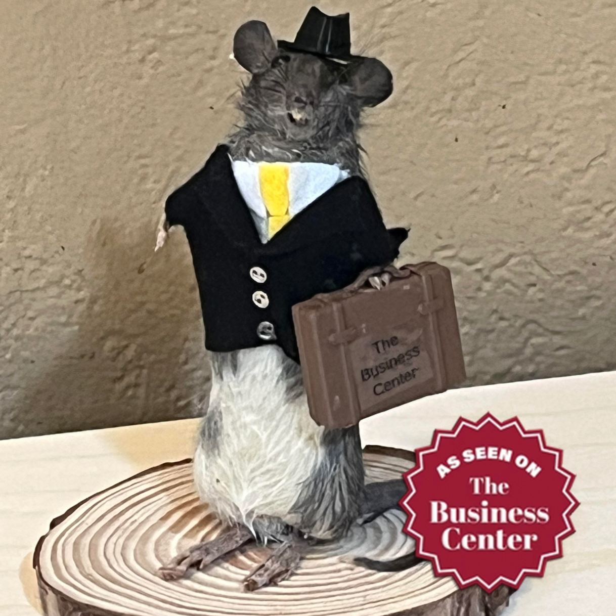 Taxidermy Business Rat